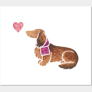 Longhaired Dachshund watercolour Posters and Art